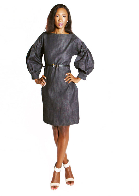 Denim Pleated-Sleeve Dress